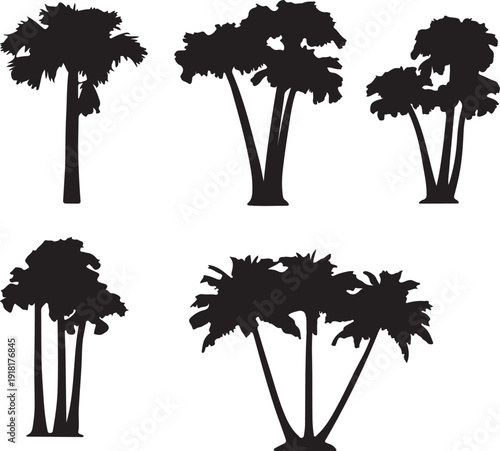 Set of palm trees silhouette