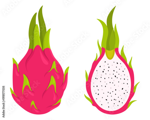 Set of fresh whole pink dragon fruit and half sliced pitaya with seeds. Vector illustration isolated on white for healthy food menu, organic products and tropical summer design.