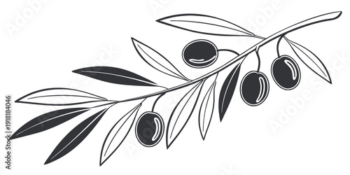 A detailed illustration of an olive branch with ripe olives ready for harvest