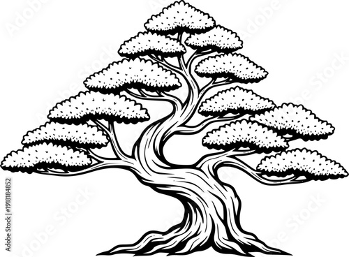 bonsai tree silhouette line art vector illustration with a white background

