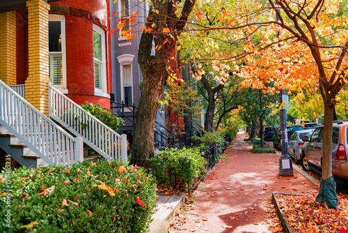 фотографія Brick sidewalk covered with leaves in Washington DC autumn