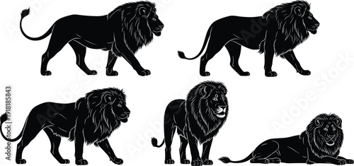 "Majestic lion silhouettes, powerful animal poses, wildlife illustration, African predator artwork, big cat design, nature concept, artistic mane detail"