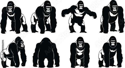 "Collection of powerful gorilla silhouettes in dynamic poses showcasing muscular strength and expressive features, ideal for wildlife design, anatomy studies, and creative visual projects"