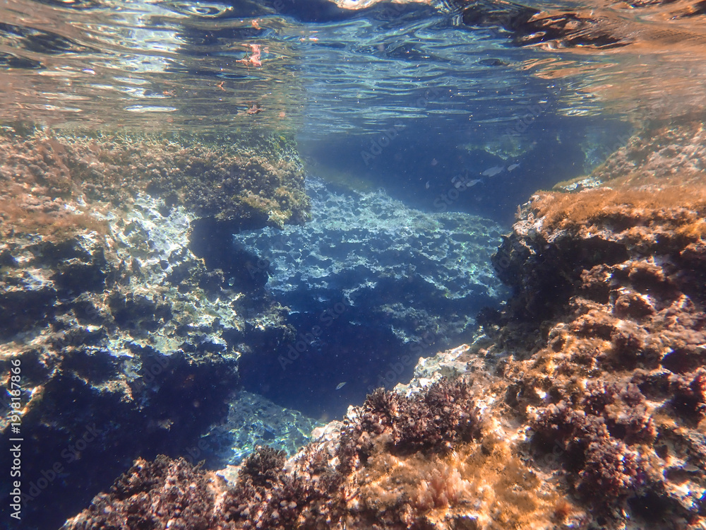 Obraz premium Ocean blue underwater with sunrays, Underwater Sea Deep Water Abstract Sunshine, sea wave , clean waters in summer time, Natural underwater seascape, sand on ocean floor and water surface with sunligh