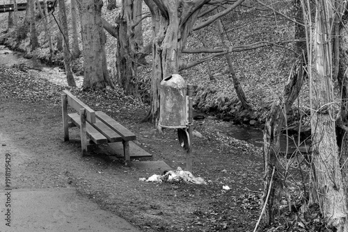 Photos Pollution in the park: Overflowing trash can with waste next to a park bench in black and white