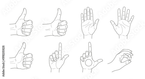 Outlined hand gestures thumb up palm open pointing and various forms
