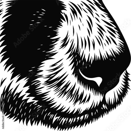 Gemini said

A professional photographer captures a breathtaking high-resolution landscape using a modern mirrorless camera during the golden hour to produce premium stock photography for creative dig