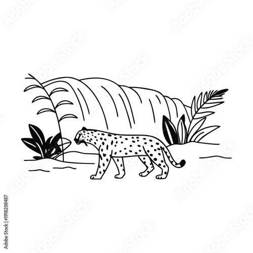  animals and pets on black and white