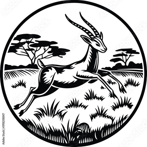  animals and pets on black and white