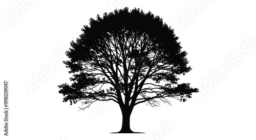 Silhouetted tree against a white background showcasing natural form