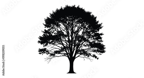 Silhouette of a lush full tree against a stark white background