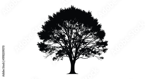 Silhouetted tree against a bright white background simple botanical illustration