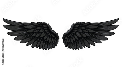Detailed illustration of spread black wings against a white background