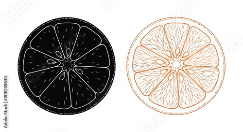 Two orange slices one black and white one color illustration
