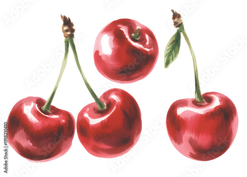 Hand painted watercolor red cherries in wooden bowl isolated on white background.