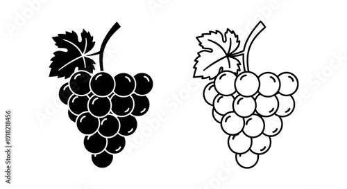 Black and white grapes illustration, vector grape bunch drawing, fruit art design Vector