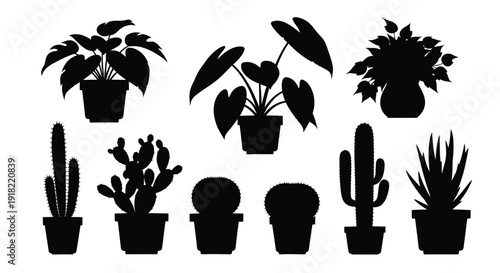 Variety of potted houseplants depicted in a black silhouette style