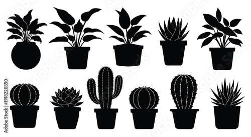 Black silhouette illustrations of various potted indoor plants and cacti