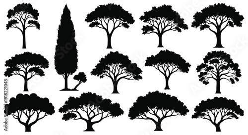Collection of silhouetted trees in various shapes and sizes