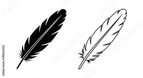 feather on white background