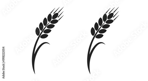 Two wheat stalks, wheat ears, wheat stalk, wheat plant, wheat illustration, wheat icon Vector