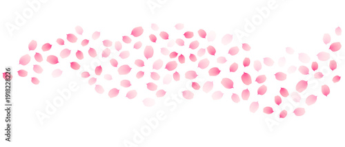Sakura cherry petals, pink apricot flowers falling border. Vector background