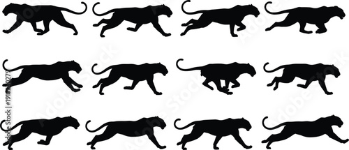 Silhouettes of cheetah running sequence, animal motion, sprinting pose, wildlife movement, black illustration, speed, dynamic stride, nature reference