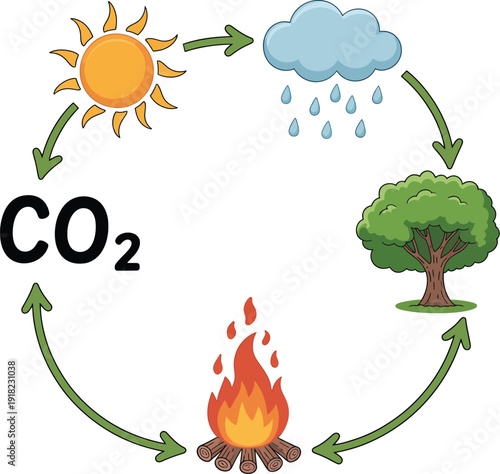 Carbon Cycle Explained The Continuous Flow of CO2 Between The Sun, Clouds, Trees, and Fire
