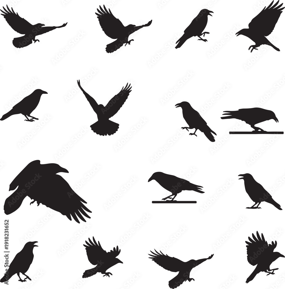 Obraz premium Silhouettes of crows in various poses and actions .