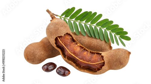 Tamarind pods with green leaves isolated on a transparent background, tropical fruit ingredient