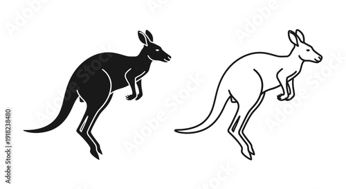 Two kangaroos illustration: vector art of australian wildlife, nature drawing Vector