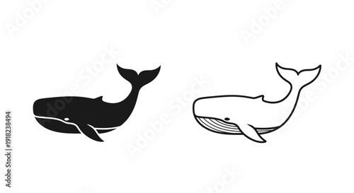 Whale illustration: minimalist line art of marine life, simple black and white design Vector