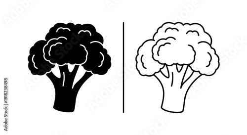 Black and white illustration of broccoli, vector image, healthy food icon, vegetable Vector