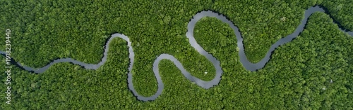 Aerial View of Winding River Through Mangrove Forest