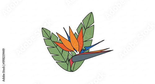 Vibrant bird sips nectar from colorful orange bird of paradise flower with green leaves