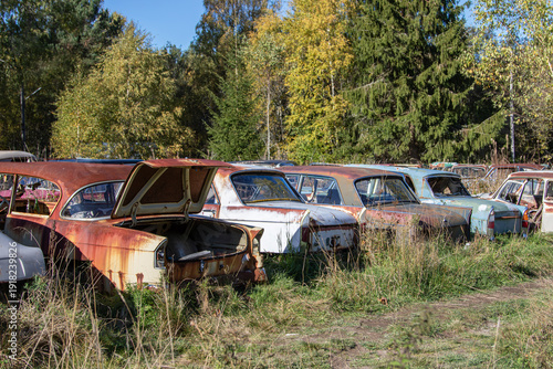 Canvas-taulu Old junk cars at an abandoned scrapyard , Sweden