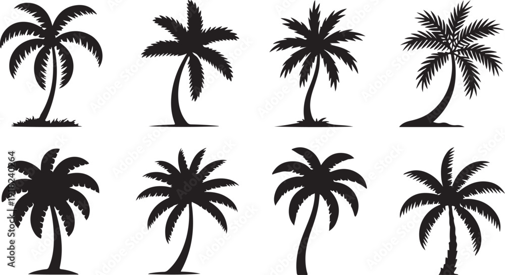 Fototapeta premium Black silhouettes of various palm trees with different frond shapes and trunk postures