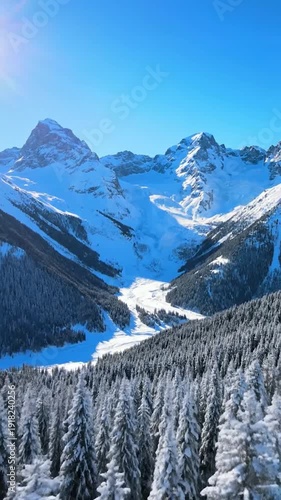 Majestic snow-capped mountains overlook a valley of snow-covered pine trees.