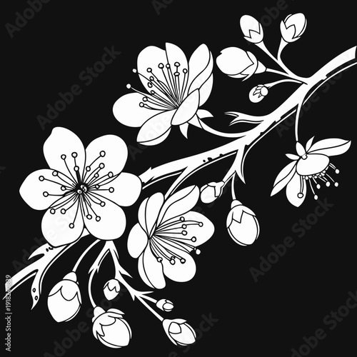 Cherry Blossom Floral Branch Silhouette Vector on Black Background