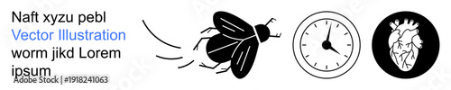 Pest control, time management, biology, anatomy, science, minimalism. Black fly, clock face and a detailed human heart illustration. Pest control and time management conceptual visuals