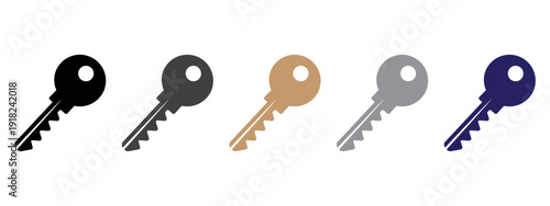 Set of five colorful keys isolated on white background for security access unlock concept