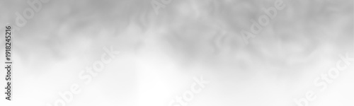 Volumetric mist with fine textures adds atmospheric depth. Smooth flowing diffusion enhances mood. Ideal for creative artwork PNG.
