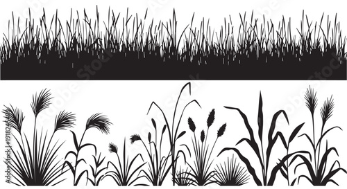Black silhouette of various cattails and reeds on a Transparent Background, decorative grass border.