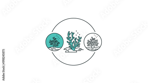 Stylized coral reef illustrations in a circular design for various applications