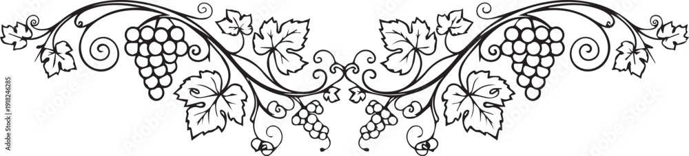 Fototapeta premium Elegant black and white illustration of grapevine with clusters and leaves, decorative border design element.