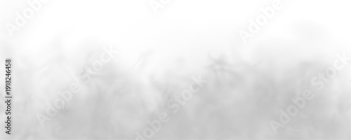 Gray fog rolls in thick layers, covering the scene in mystery. Designed for horror, thriller, or atmospheric backgrounds. PNG file included.