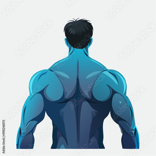 Dynamic illustration of a muscular male back, highlighting strength and a powerful athletic physique in vibrant blue tones