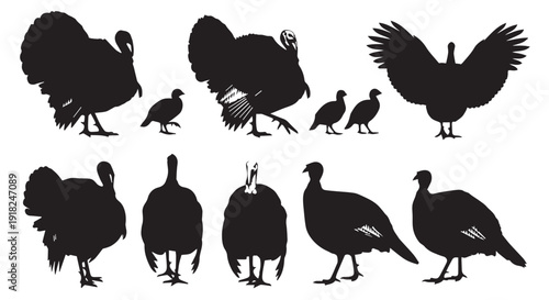 Set of nine black silhouette illustrations of turkeys in various poses and sizes against a Transparent Background, perfect for design projects.