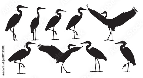 Silhouette of various herons standing, flying, and interacting in different poses against a Transparent Background, showcasing their elegant forms.