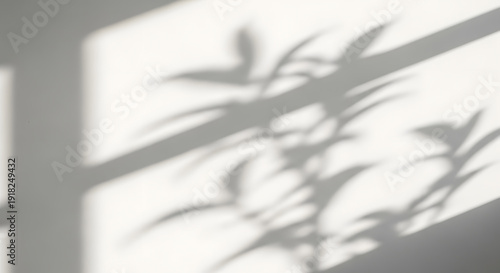 Abstract aesthetic background with sunlight coming through a window